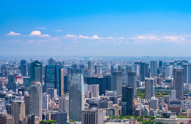 国内事業所
